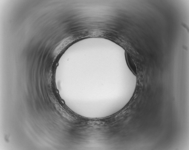 X0000101680242200807311525