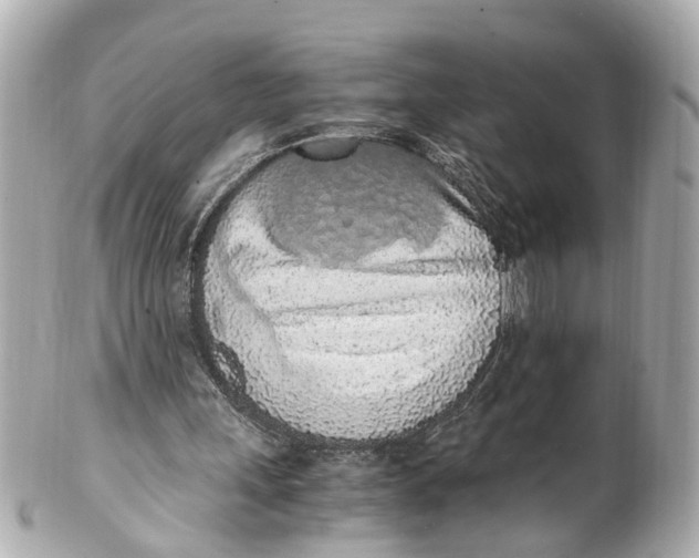 X0000101680243200807311525