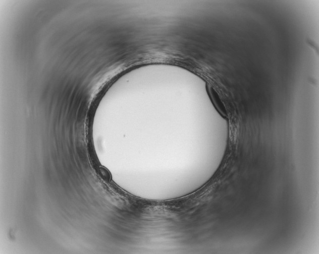 X0000101680244200807311525