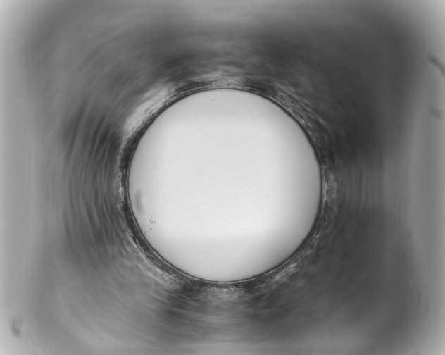 X0000101680245200807311525