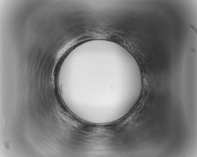 X0000101680246200807311525