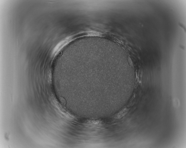 X0000101680247200807311525