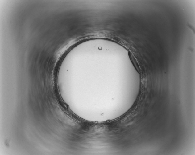 X0000101680248200807311525