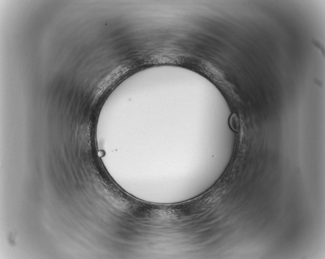 X0000101680250200807311525