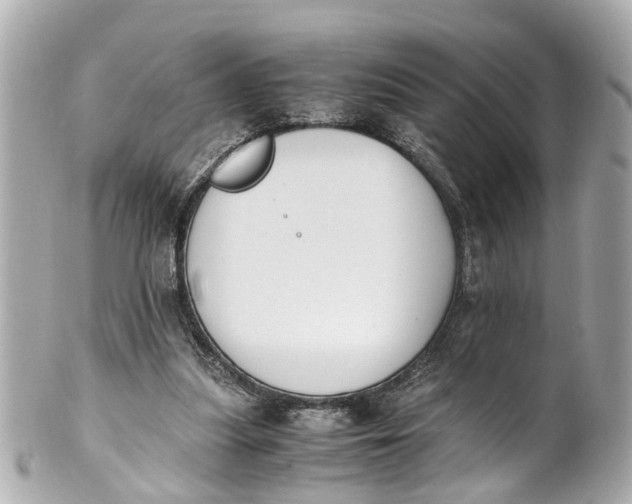 X0000101680251200807311525