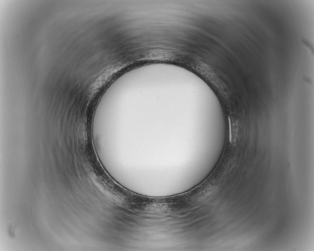 X0000101680252200807311525