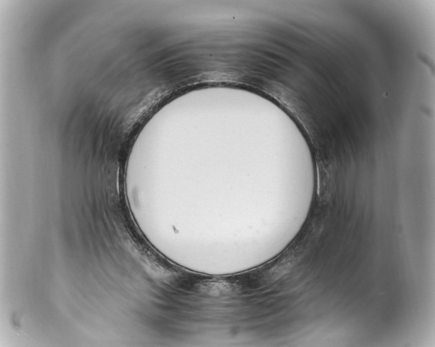 X0000101680253200807311525