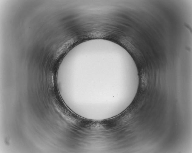 X0000101680254200807311525