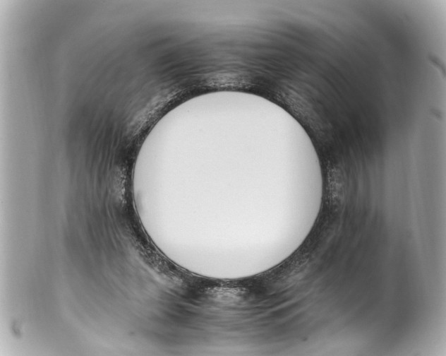 X0000101680255200807311525