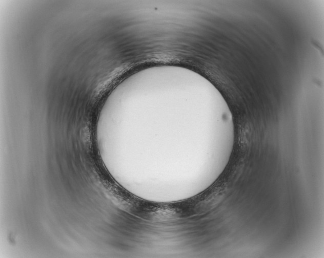 X0000101680256200807311525