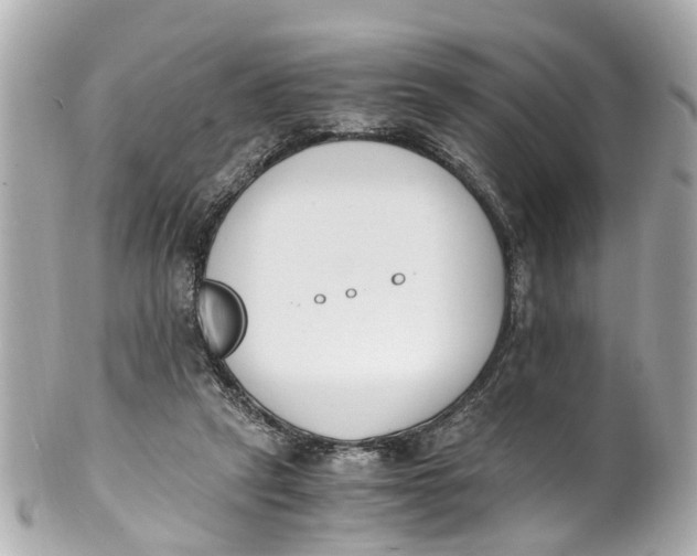 X0000101680257200807311525