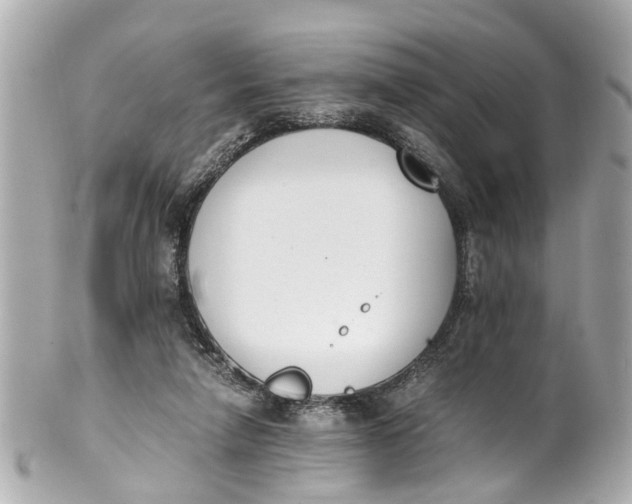 X0000101680258200807311525