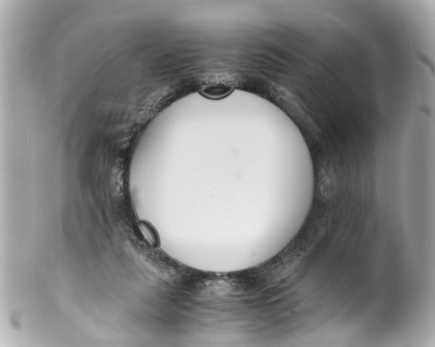 X0000101680259200807311525