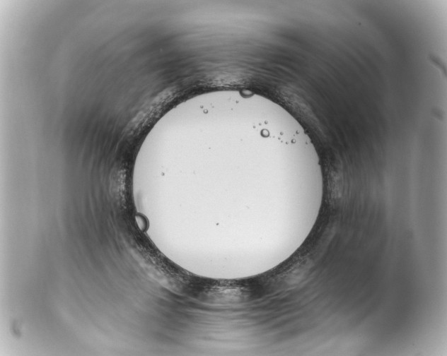 X0000101680260200807311525