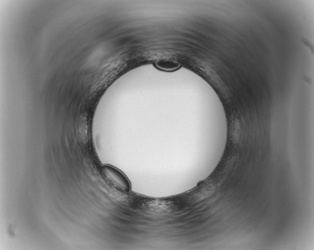 X0000101680261200807311525