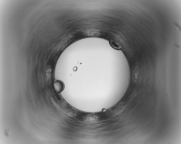 X0000101680263200807311525