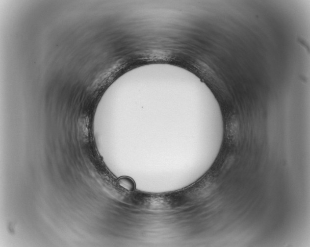 X0000101680264200807311525