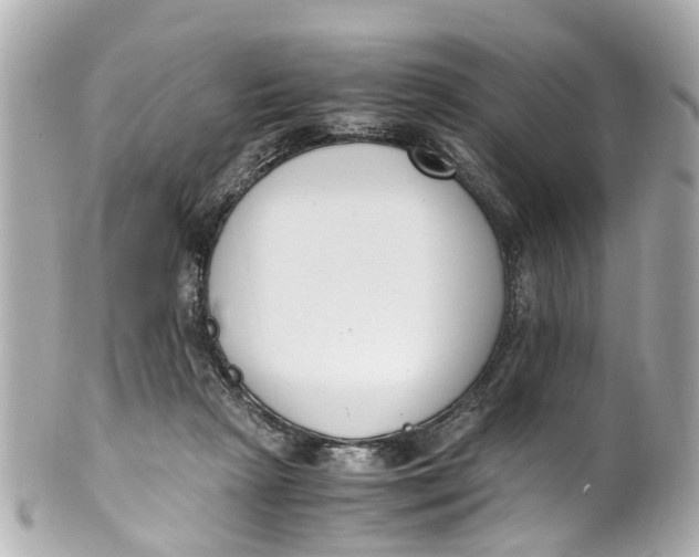 X0000101680265200807311525