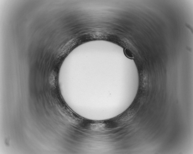 X0000101680266200807311525