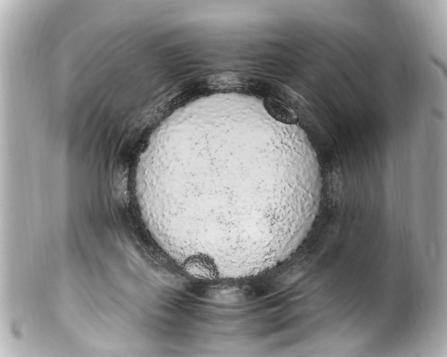 X0000101680267200807311525