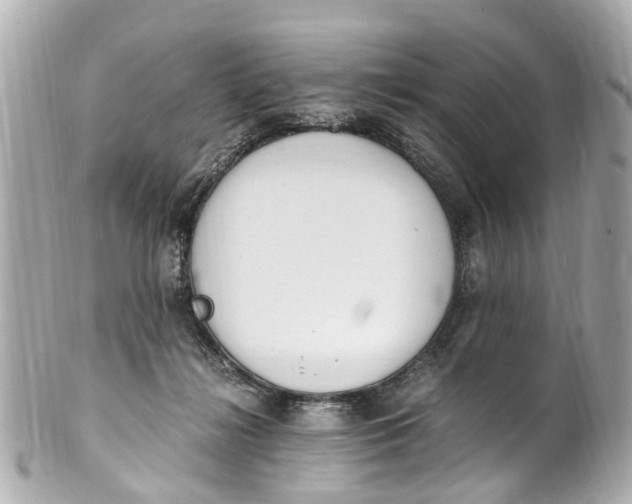 X0000101680268200807311525