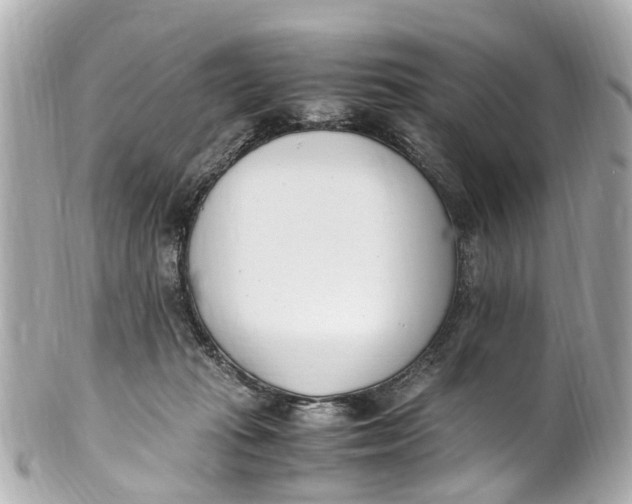 X0000101680269200807311525