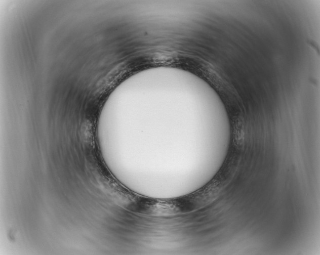 X0000101680270200807311525