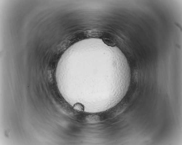 X0000101680271200807311525