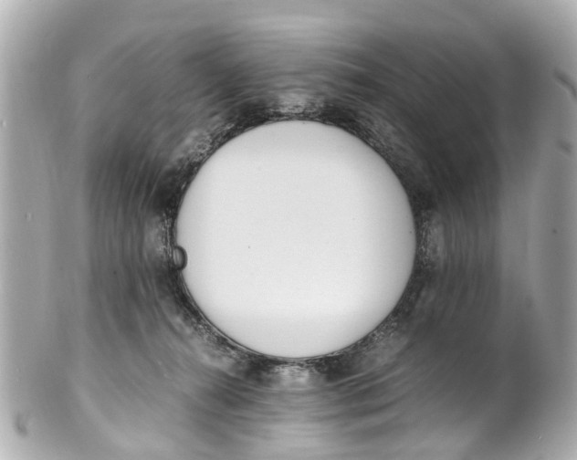 X0000101680272200807311526