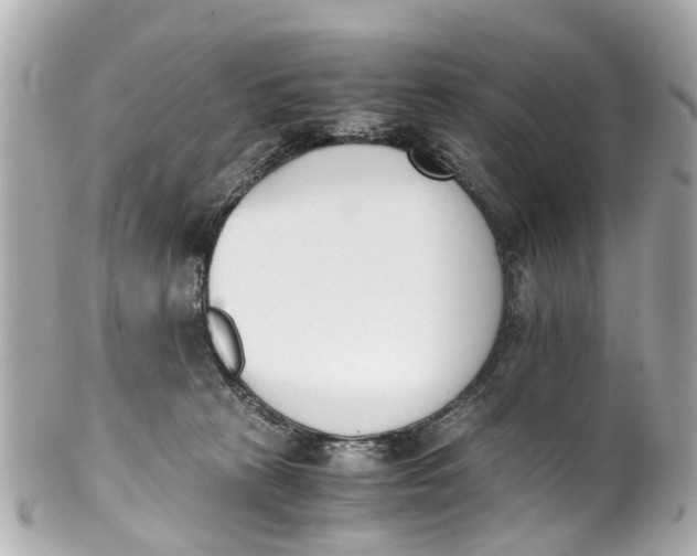 X0000101680273200807311526