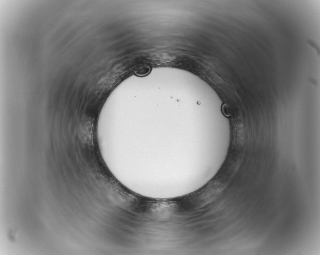 X0000101680274200807311526