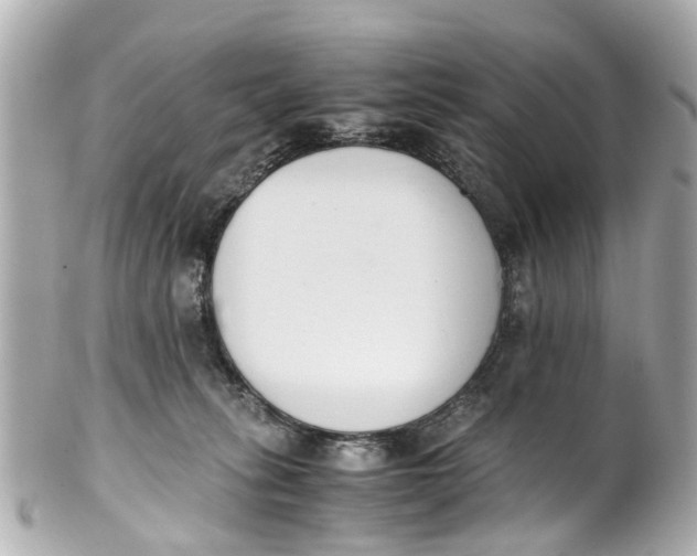 X0000101680275200807311526