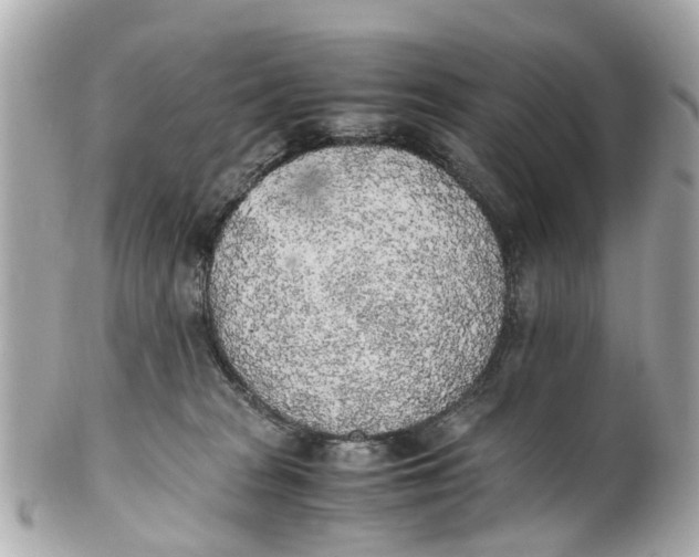 X0000101680277200807311526