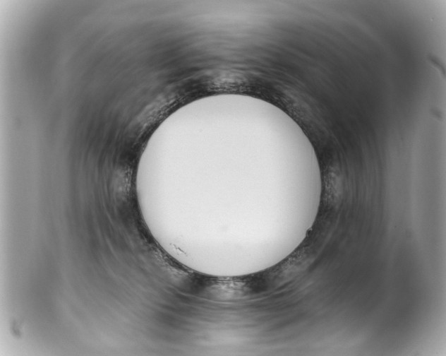 X0000101680278200807311526