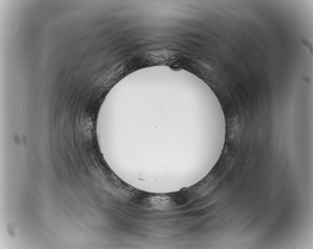 X0000101680279200807311526