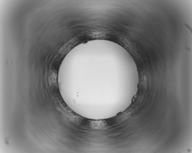 X0000101680281200807311526