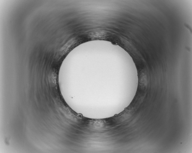 X0000101680282200807311526