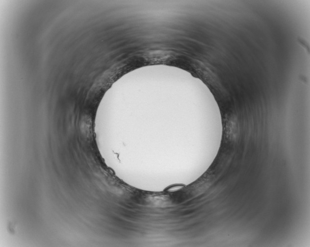 X0000101680283200807311526