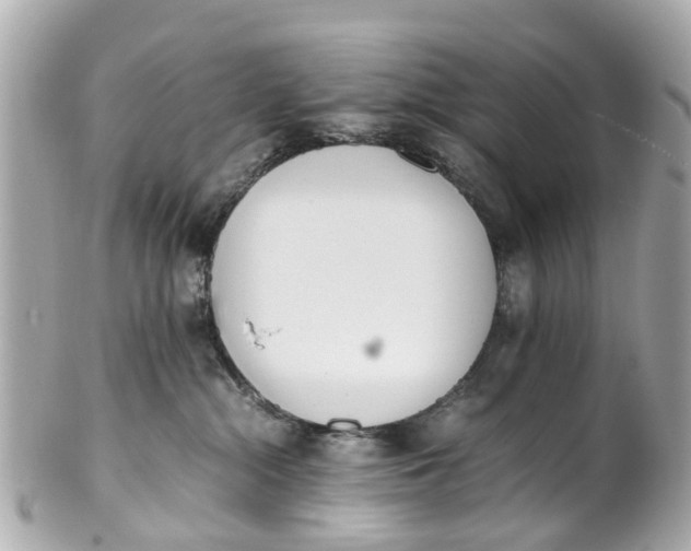 X0000101680284200807311526