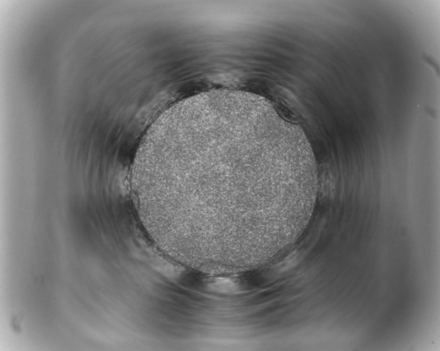 X0000101680285200807311526