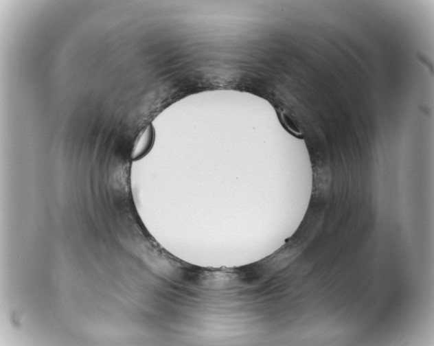 X0000101680286200807311526