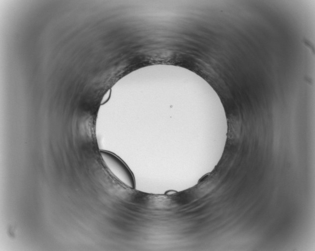 X0000101680287200807311526