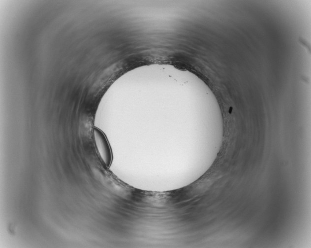 X0000101680288200807311526