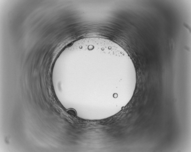 X0000101680289200807311525