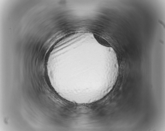 X0000101680290200807311525