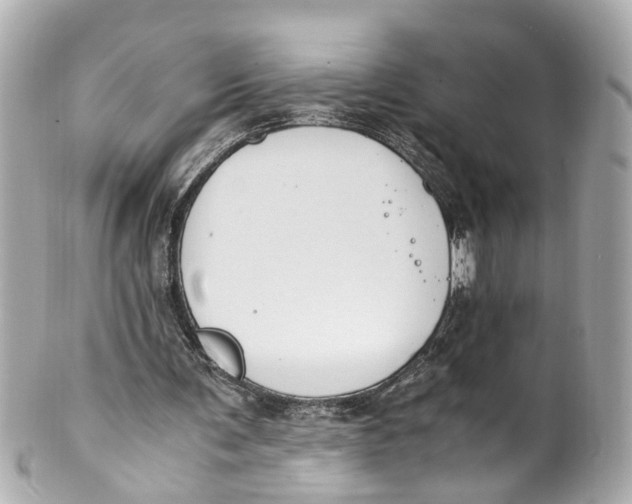 X0000101680291200807311525