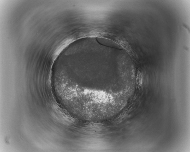 X0000101680292200807311525