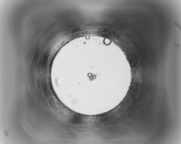 X0000101680293200807311525