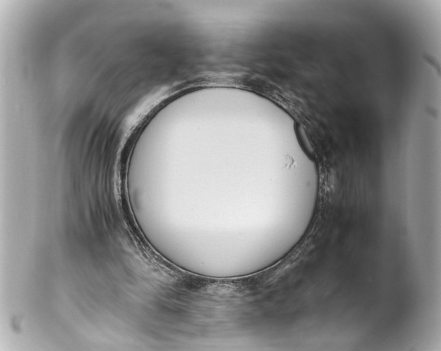 X0000101680294200807311525