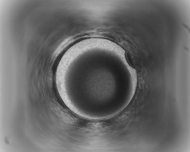 X0000101680295200807311525